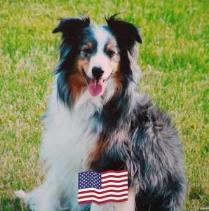 Meet your Posher, Betty